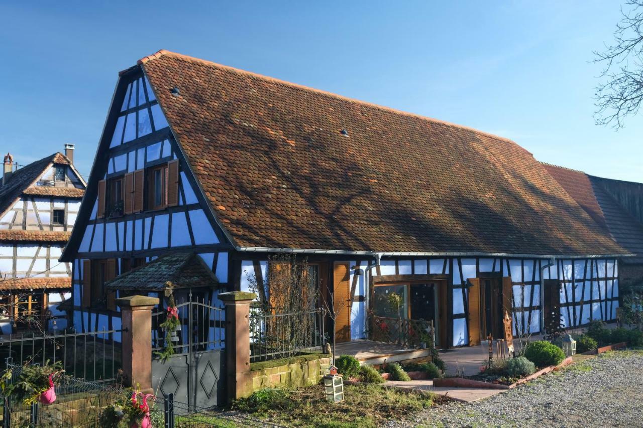 Le Clos Bleu - Gite Rural Schillersdorf Luaran gambar