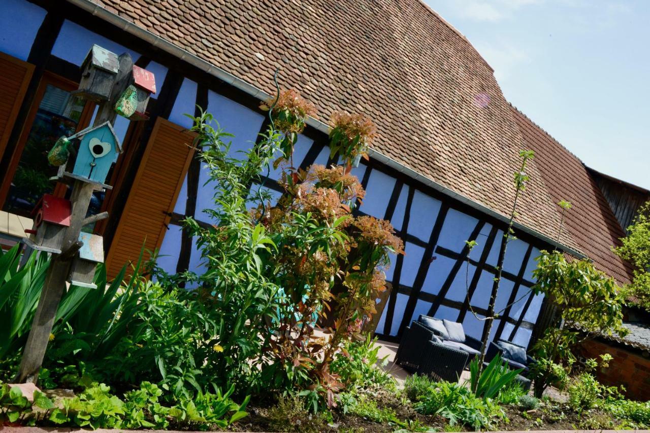 Le Clos Bleu - Gite Rural Schillersdorf Luaran gambar